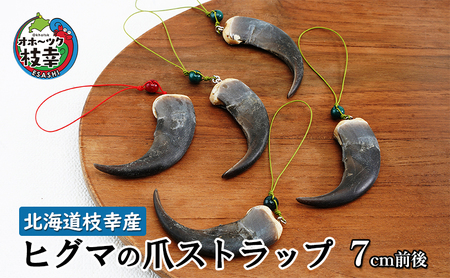 北海道枝幸産 ヒグマの爪ストラップ 7cm前後【 くま 熊 ヒグマ 羆
