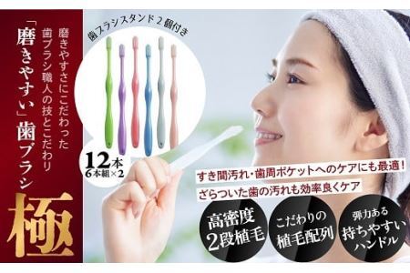 AB-89.磨きやすい歯ブラシ【極】LT-53 ふつう 12本 | 奈良県桜井市