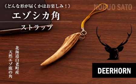 No.2144『加工材約24kgセット』鹿の角 エゾ鹿 鹿角 蝦夷鹿 No.