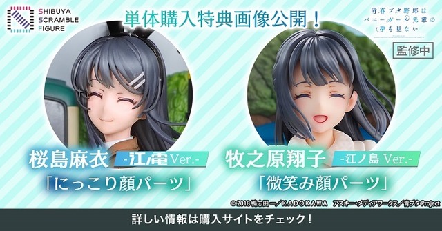 青春ブタ野郎はバニーガール先輩の夢を見ない』「桜島麻衣 -江ノ電 Ver