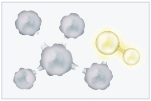 CHANSONNIER | シャンソン化粧品