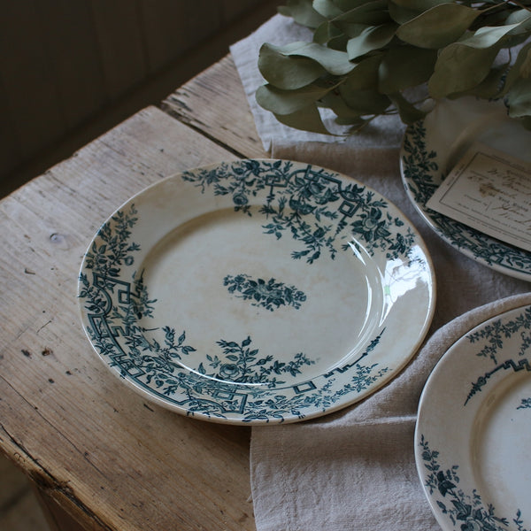 ft221114-A_grande.jpg?v=1706682705