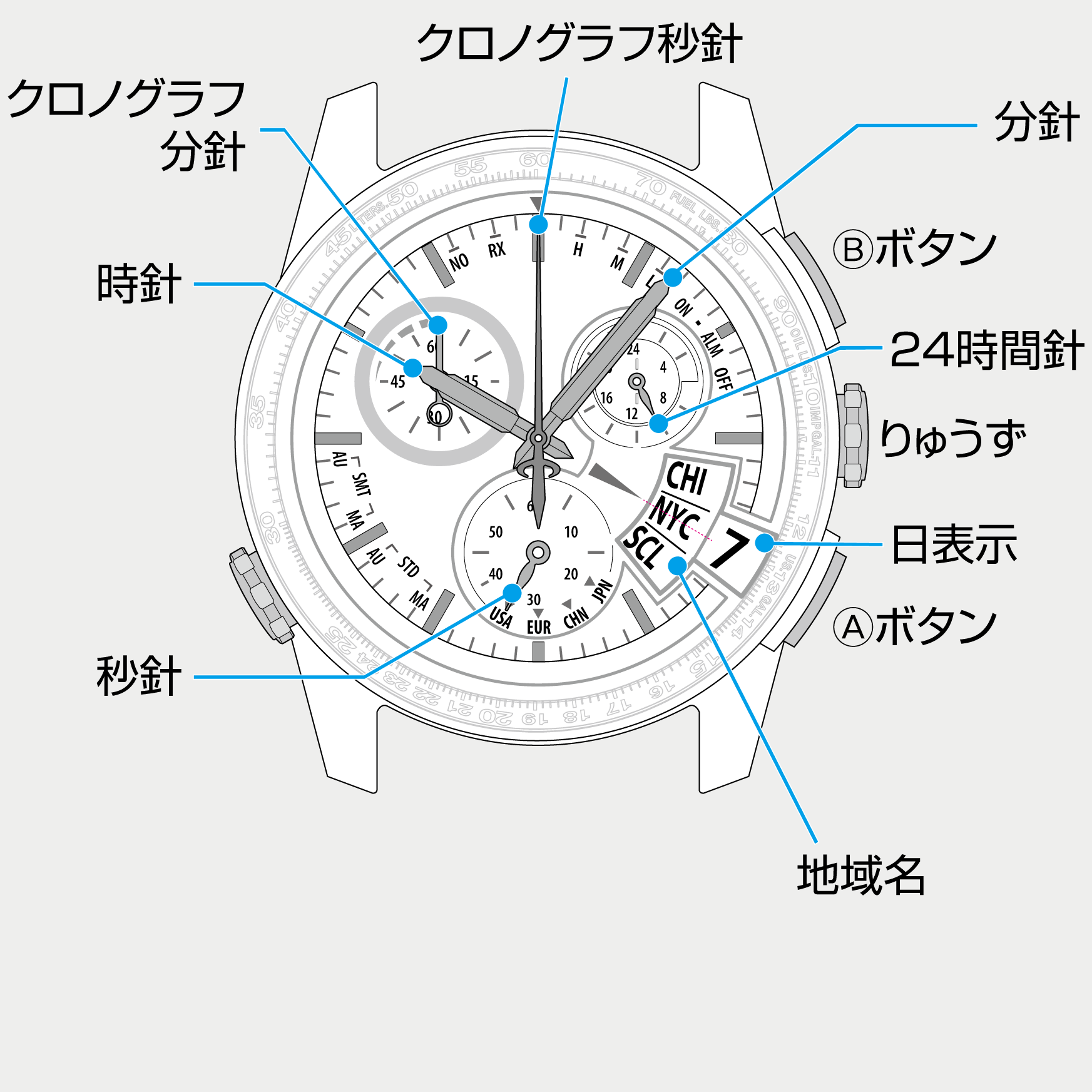 シチズンサポート