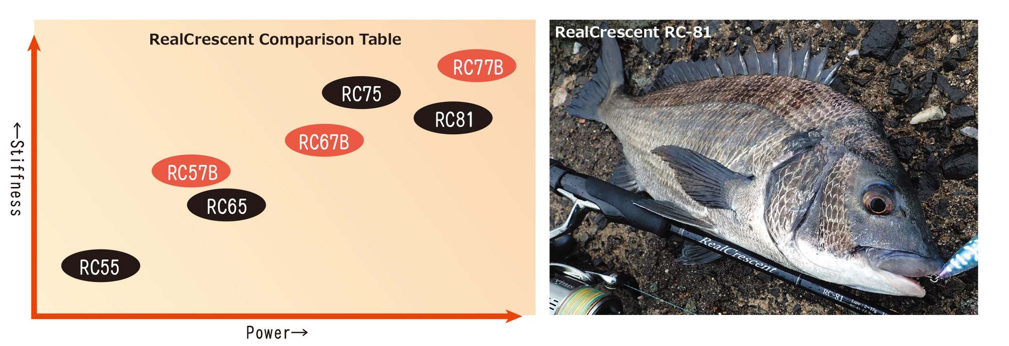 Ripple Fisher Real Crescent - Compleat Angler Nedlands Pro Tackle