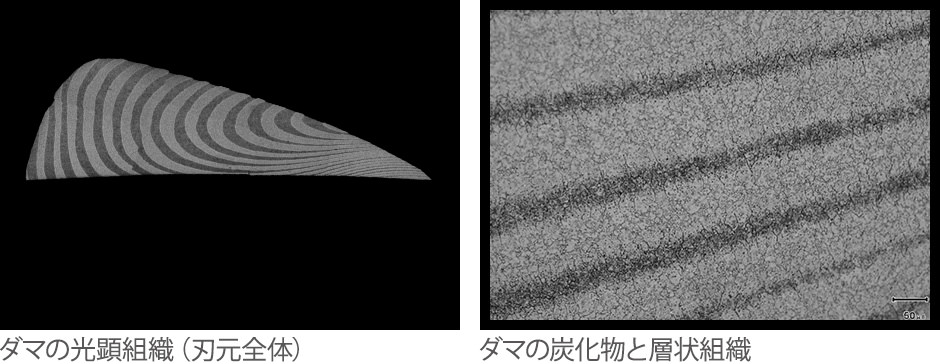 DAMA D-07 | ミズタニシザーズ