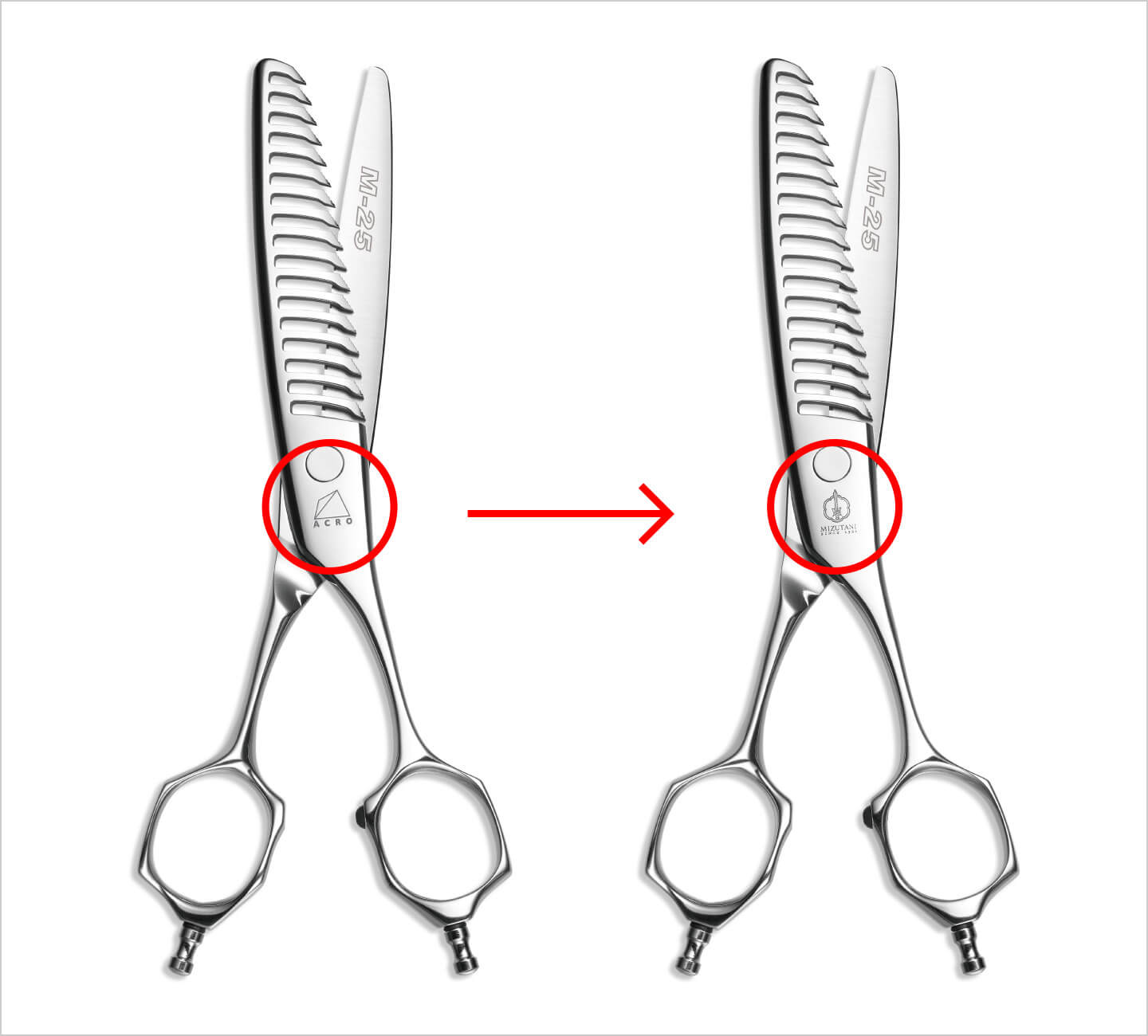 製品ブランドロゴマーク変更のご案内 | ミズタニシザーズ