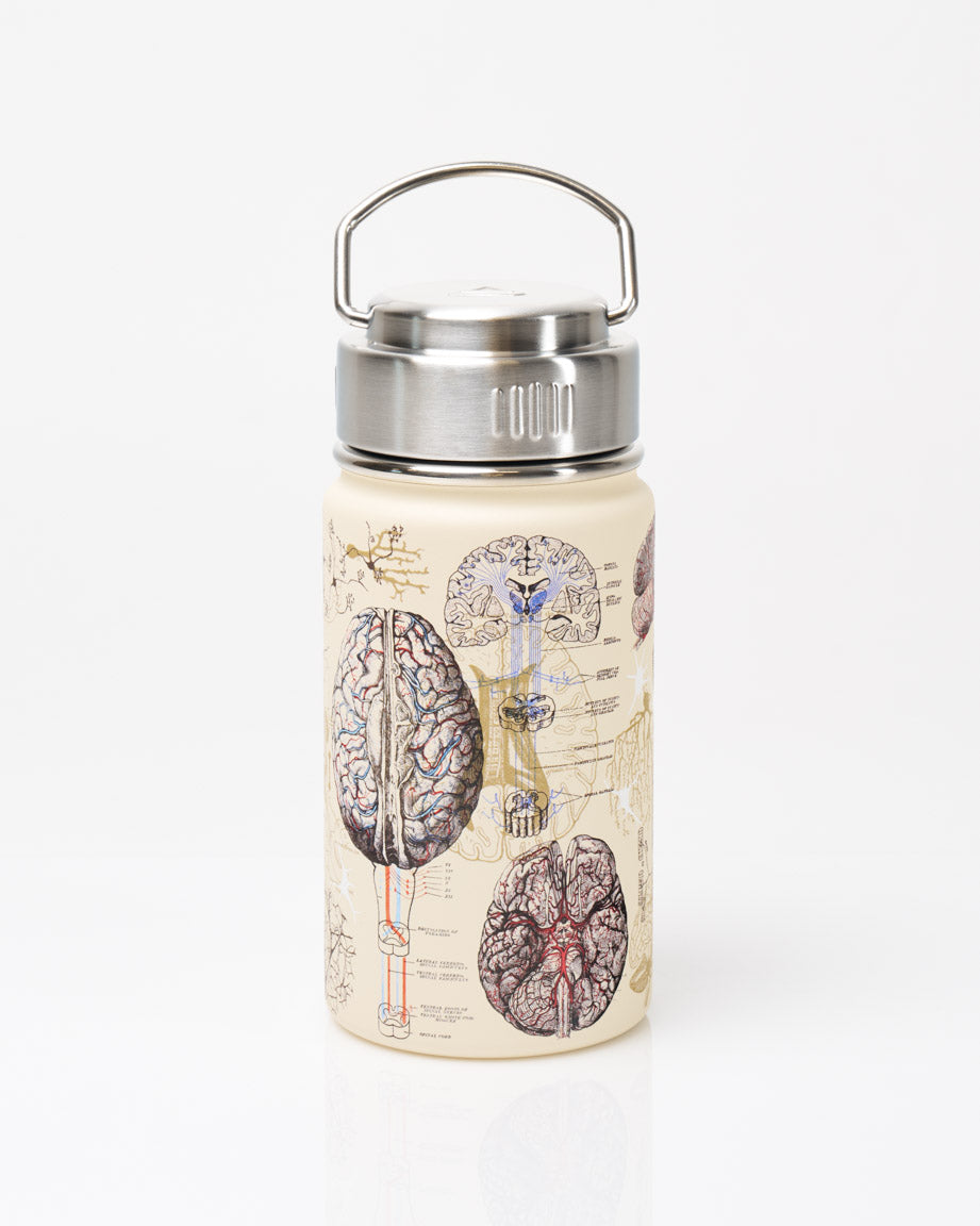Human Anatomy Stainless Steel Vacuum Flask / Insulated Travel