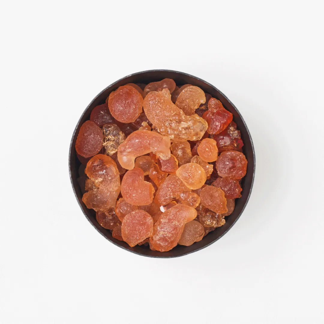 HOME FRAGRANCE｜Pot Pourri vegetal amber｜ポプリ｜ホーム