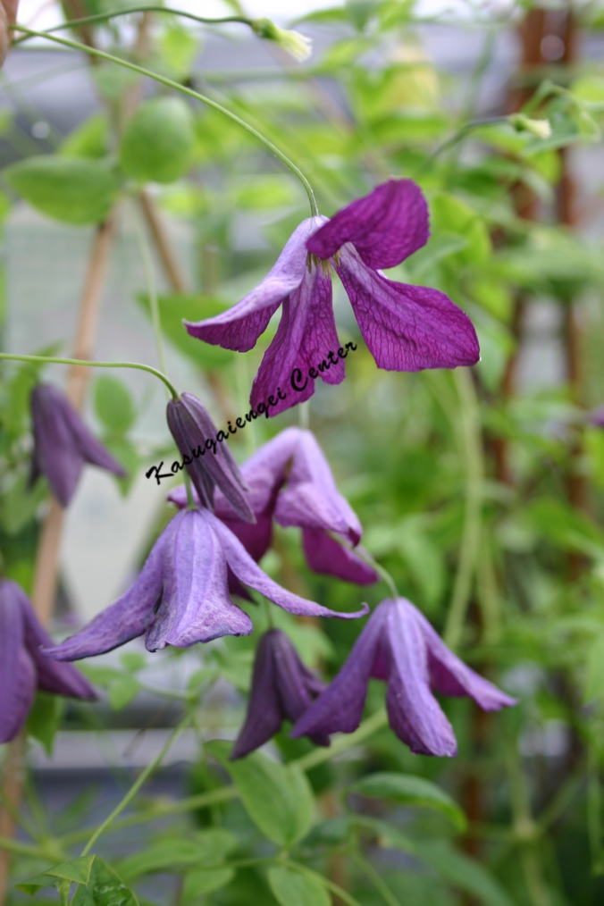 商品一覧ページ