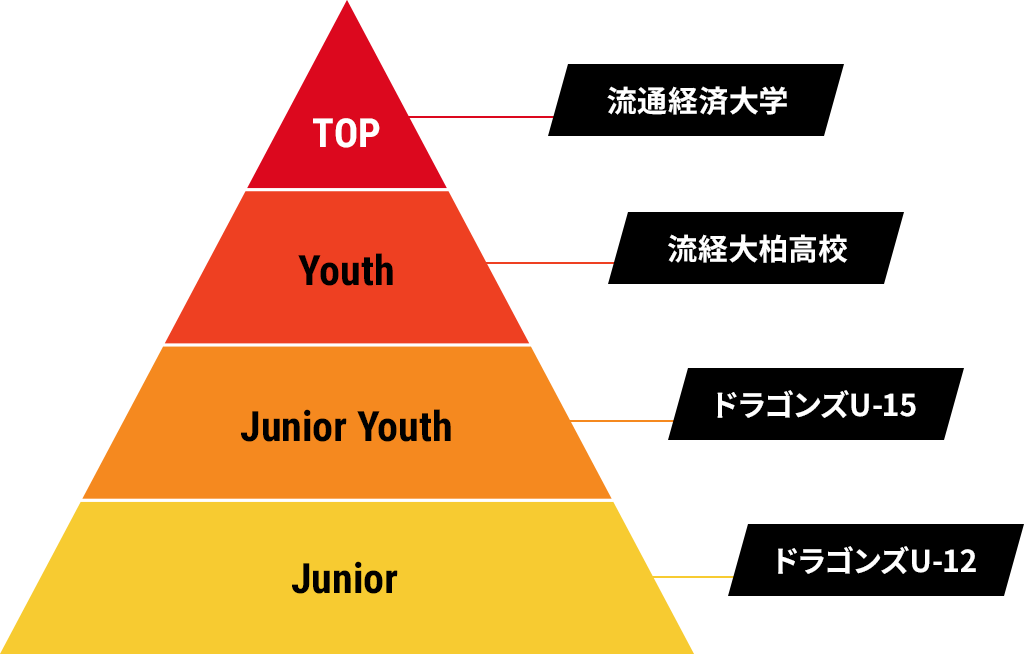 クラブ・ドラゴンズ柏 | CLUB DRAGONS KASHIWA | クラブ・ドラゴンズ柏