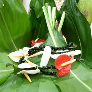 ハワイの植物：Ti (ティ)について - ハワイアン雑貨、プルメリアや