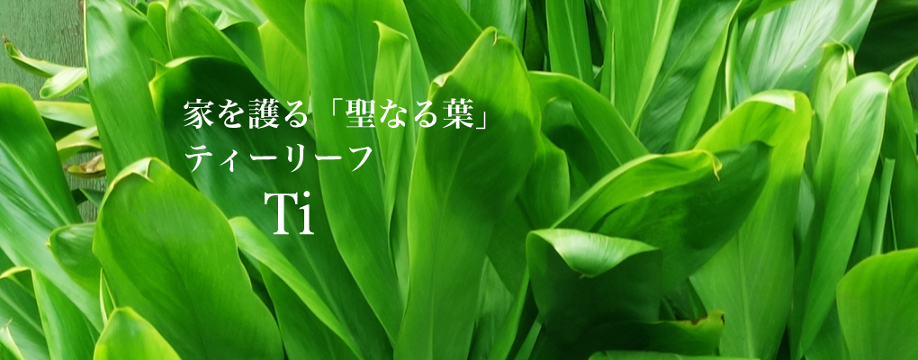 ティTi, Ki - ハワイアン・セレクトショップ | Lani Hawaii (ラニハワイ)