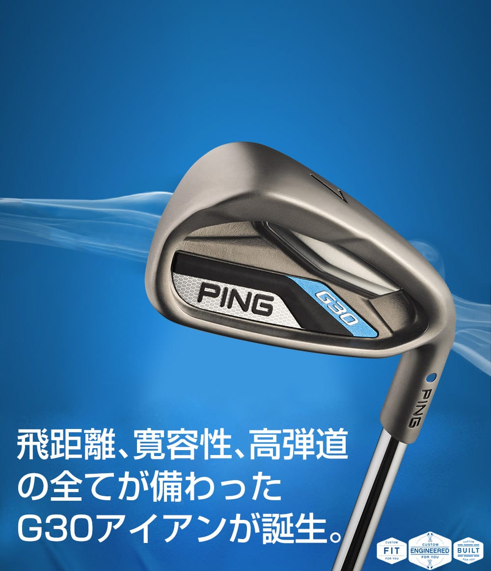 PING G30 9番アイアン フレックスR PING Golf - G30 Individual Steel