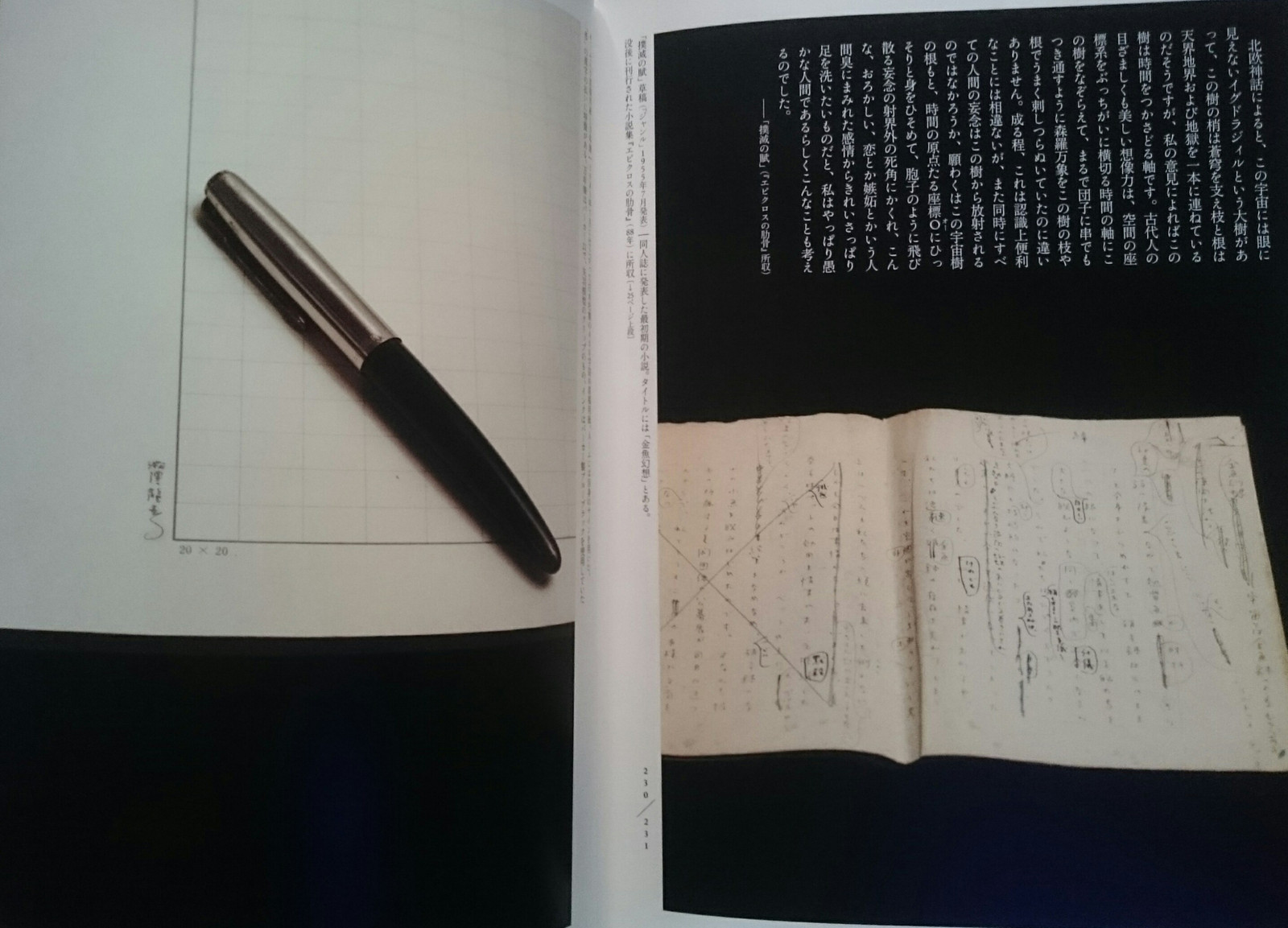 た*ぅ様 澁澤龍彦 渋澤龍彦 直筆原稿13枚完 草稿 サイン 署名 ジャン