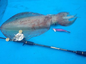 ベイトティップランの有効性 | クレイジーオーシャン