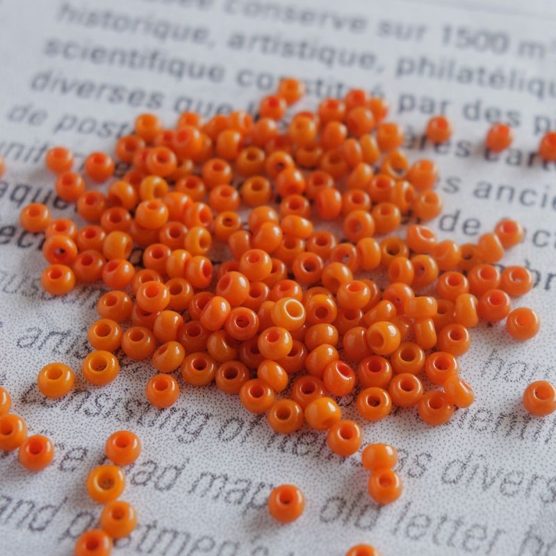 フランス ヴィンテージ シードビーズ オレンジ30 クラフト Ansan