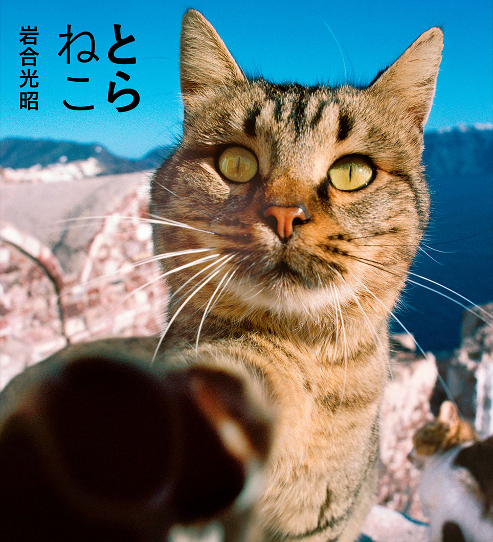 IWAGO'S BOOK ②『とらねこ』 | 株式会社クレヴィス