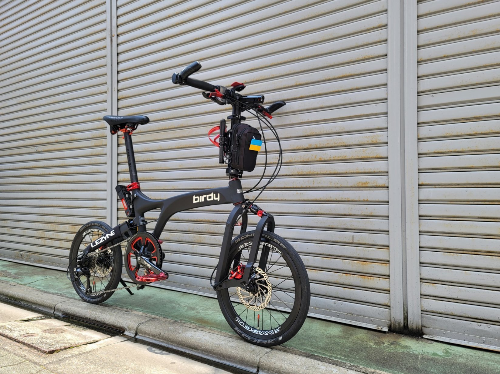 birdy GT（2023年購入：オリジナルカラー）New Birdy Gt Birdy GT