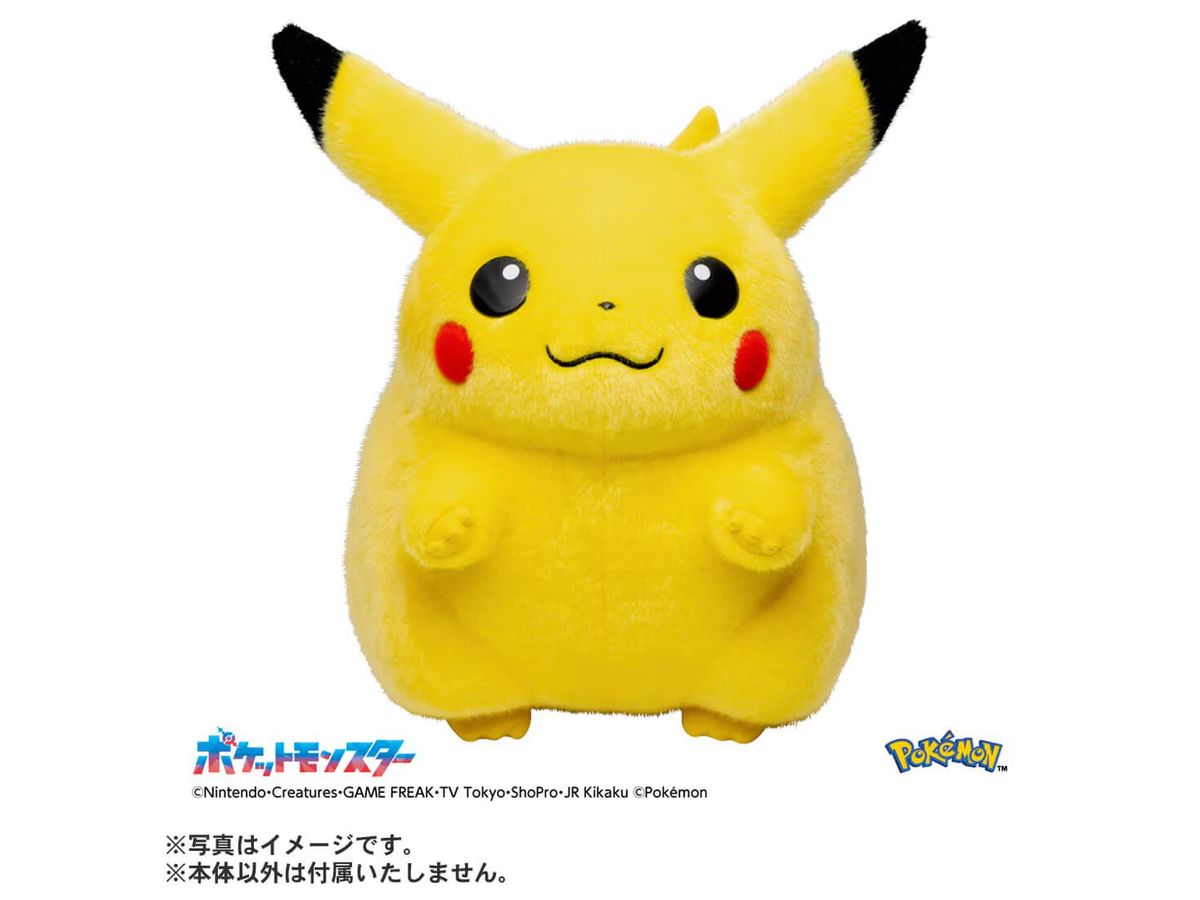 ポケモン30周年記念 おかえり! ピカチュウ 1/1 | HLJ.co.jp