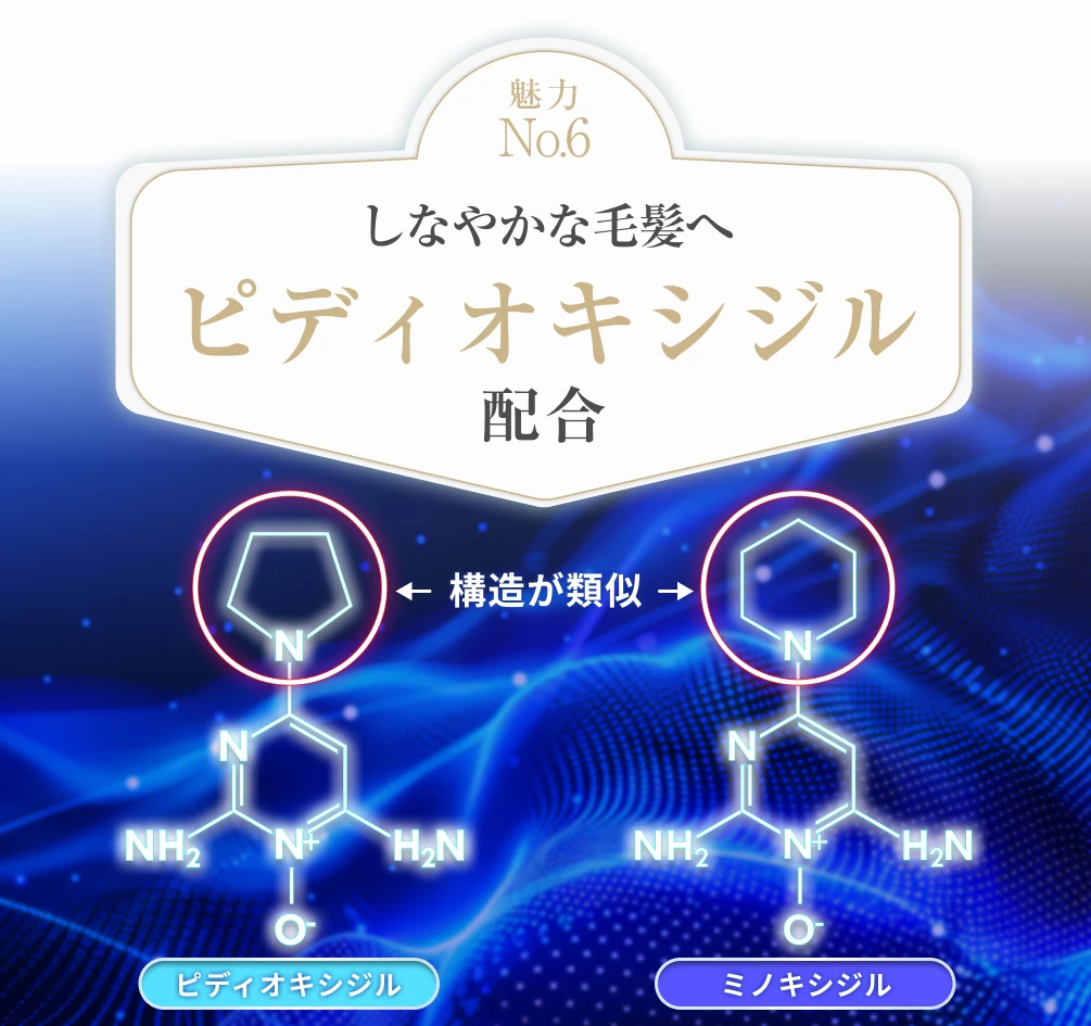 RIAHS 定期 エキスパートケア シャンプー＆トリートメント | リアス