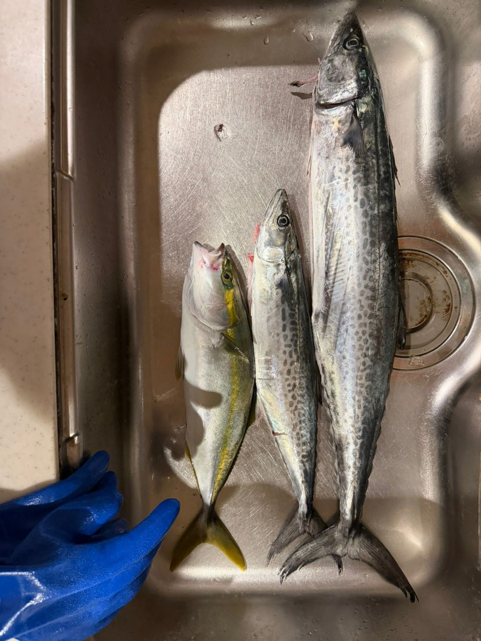 SHIMANO 22オシアジガー フルベンド B60-3の最安値・インプレ・釣果