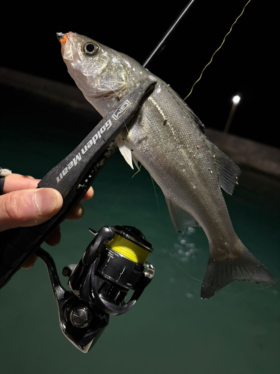 AbuGarcia ソルティーステージ プロトタイプ アジング XAJS-5102LSSの