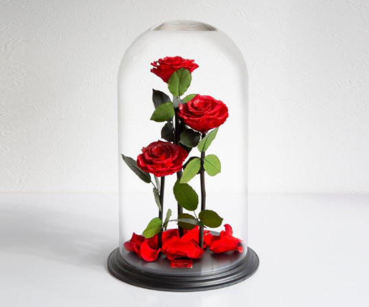 大和オンラインショップ