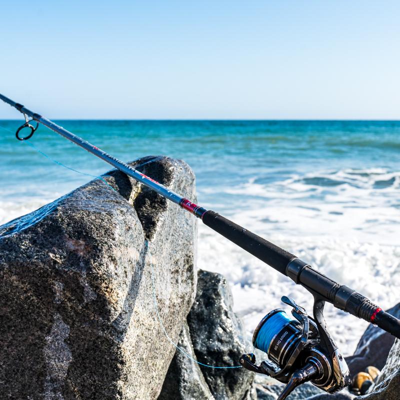 TEAM DAIWA SURF RODS – Daiwa US