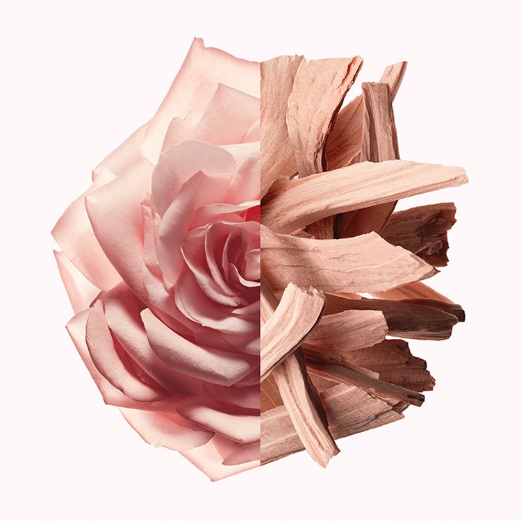 イレジスティブル オーデパルファム ヌード ベルベット 50mL