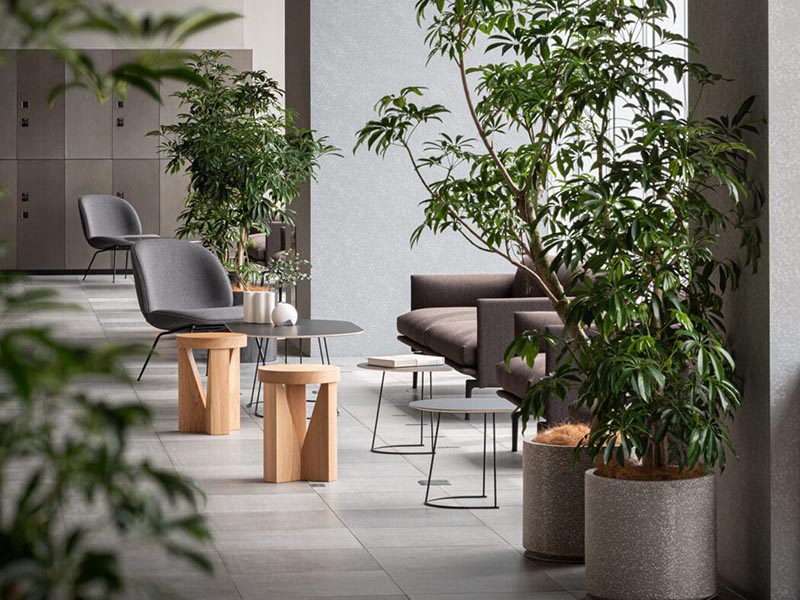 Cugino Stool / Side Table, Natural Oak by Konstantin Grcic