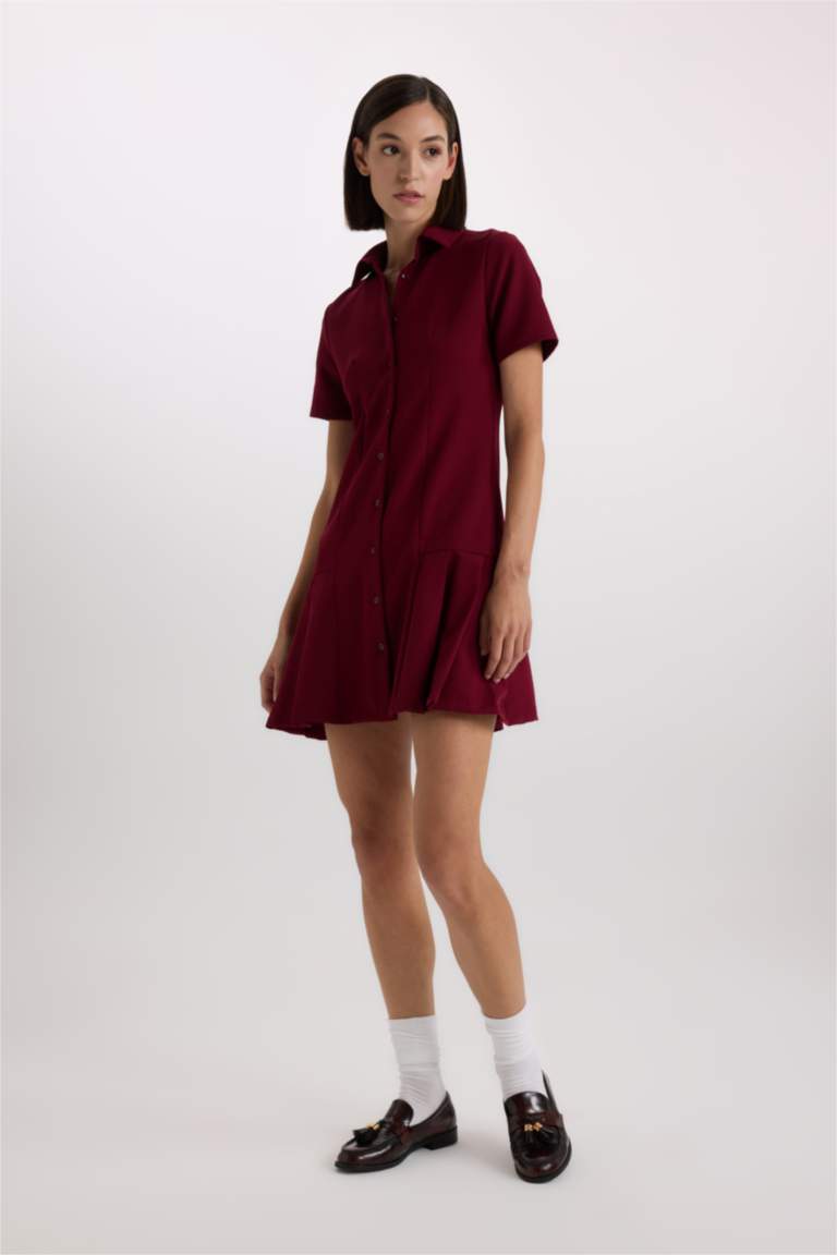 polo pleated mini dress Mini pleated polo collar dress
