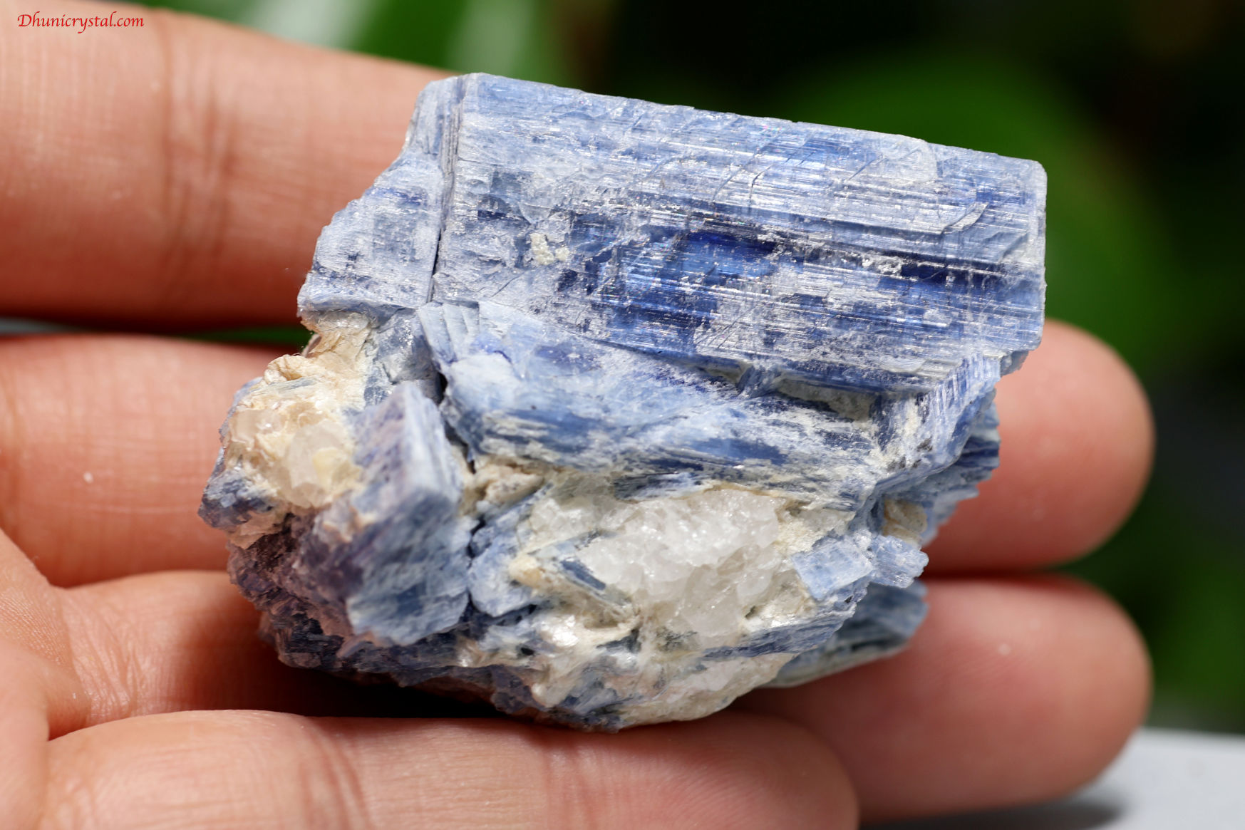 カイヤナイトの原石(A455)