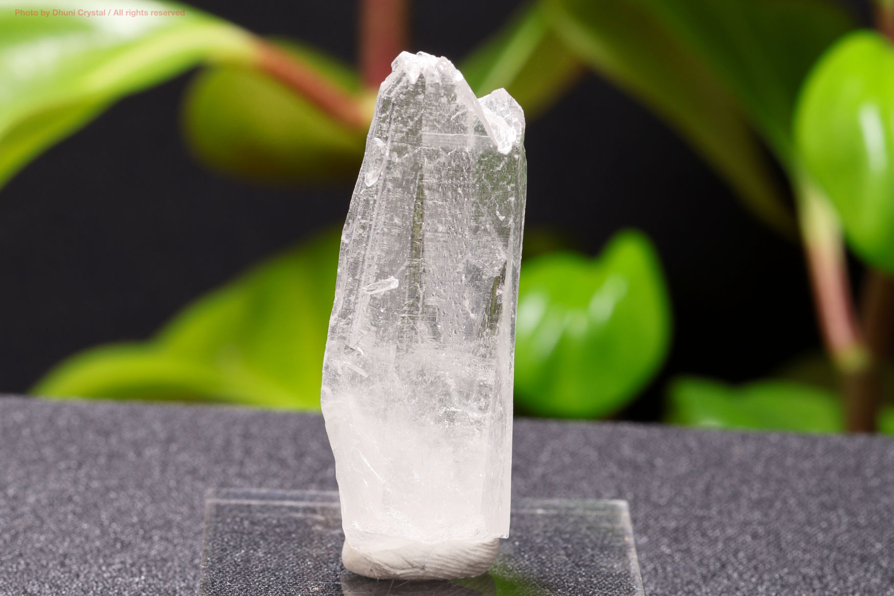 一点物】レムリアンシードクリスタル原石｜成長線が刻まれた高波動の