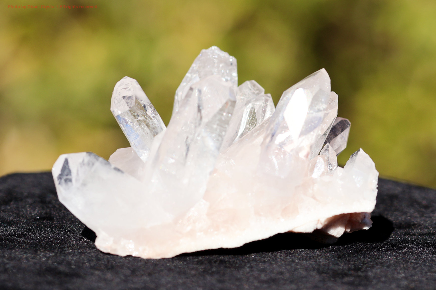 ヒマラヤ水晶｜マニカラン産ピンククラスター｜淡い癒しの輝き