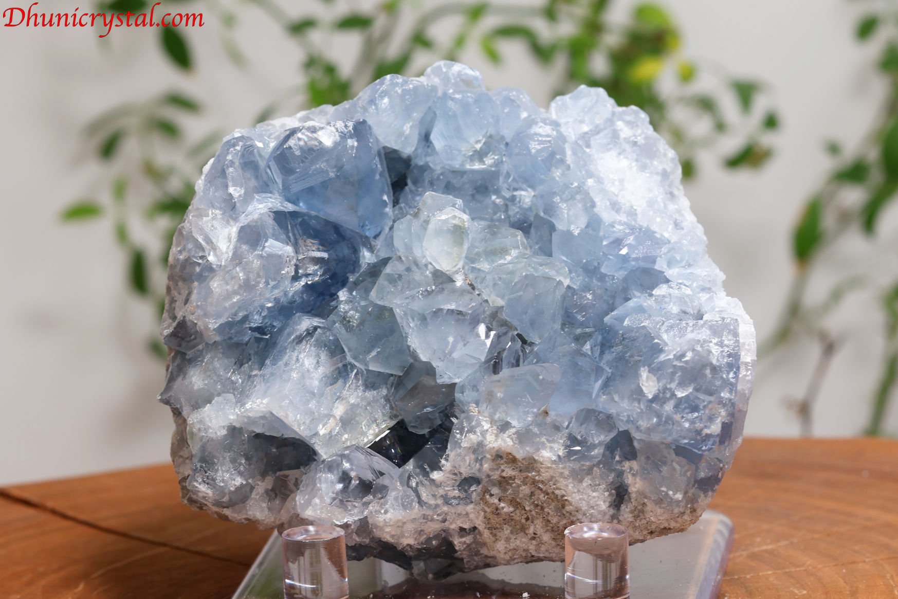 セレスタイト原石/天青石(W74)