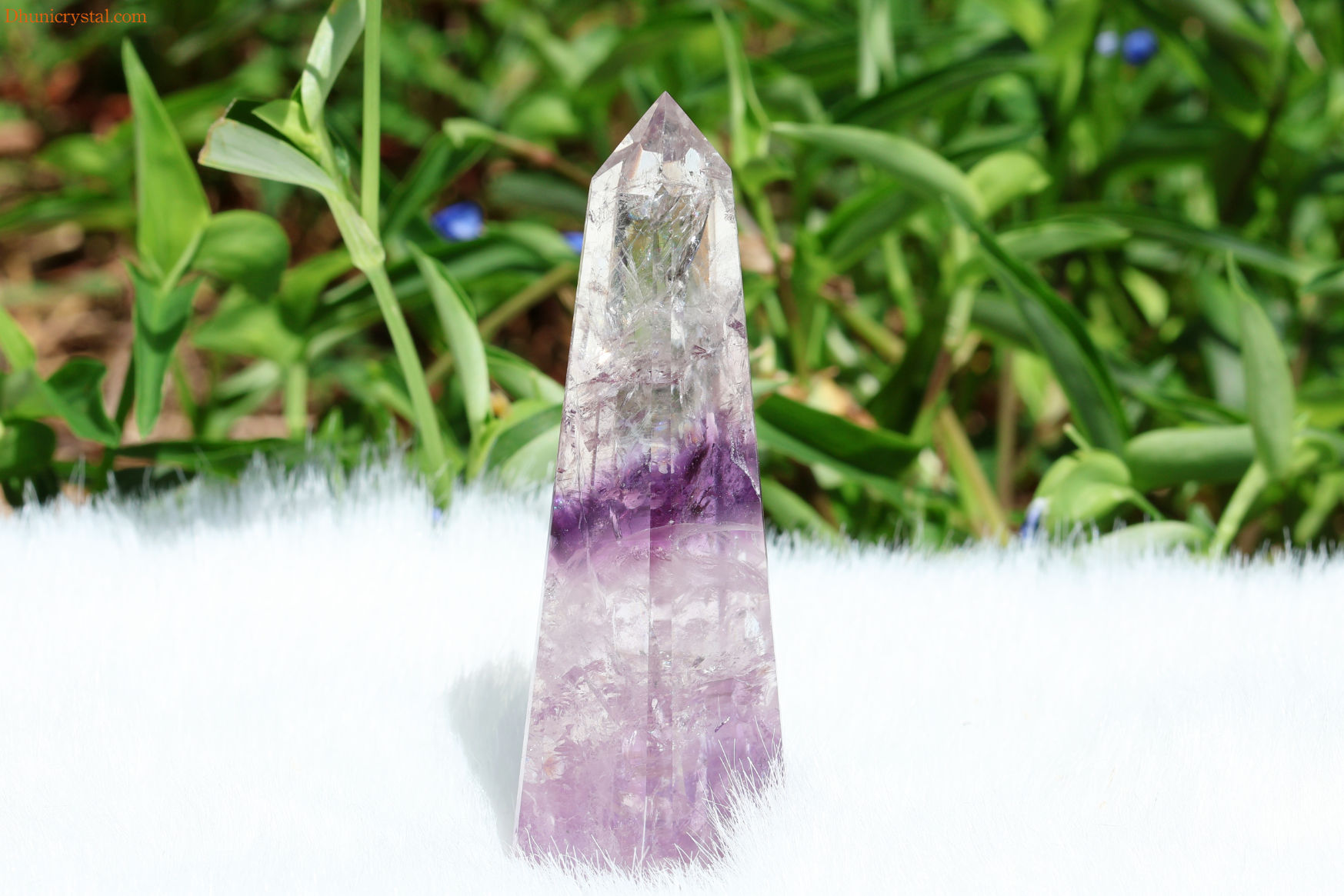 アメジスト・ファントム/虹入り(W271)