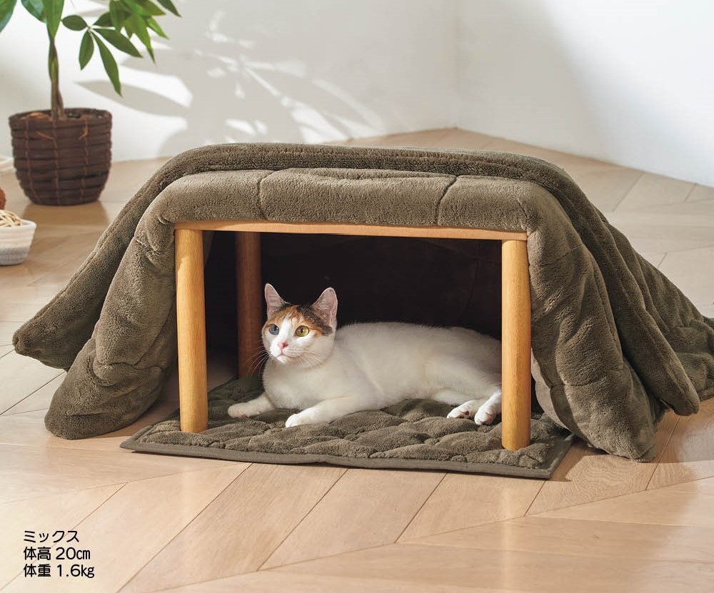 ペット専用のこたつをディノスが新発売！ヒーターなどの熱源を使わない