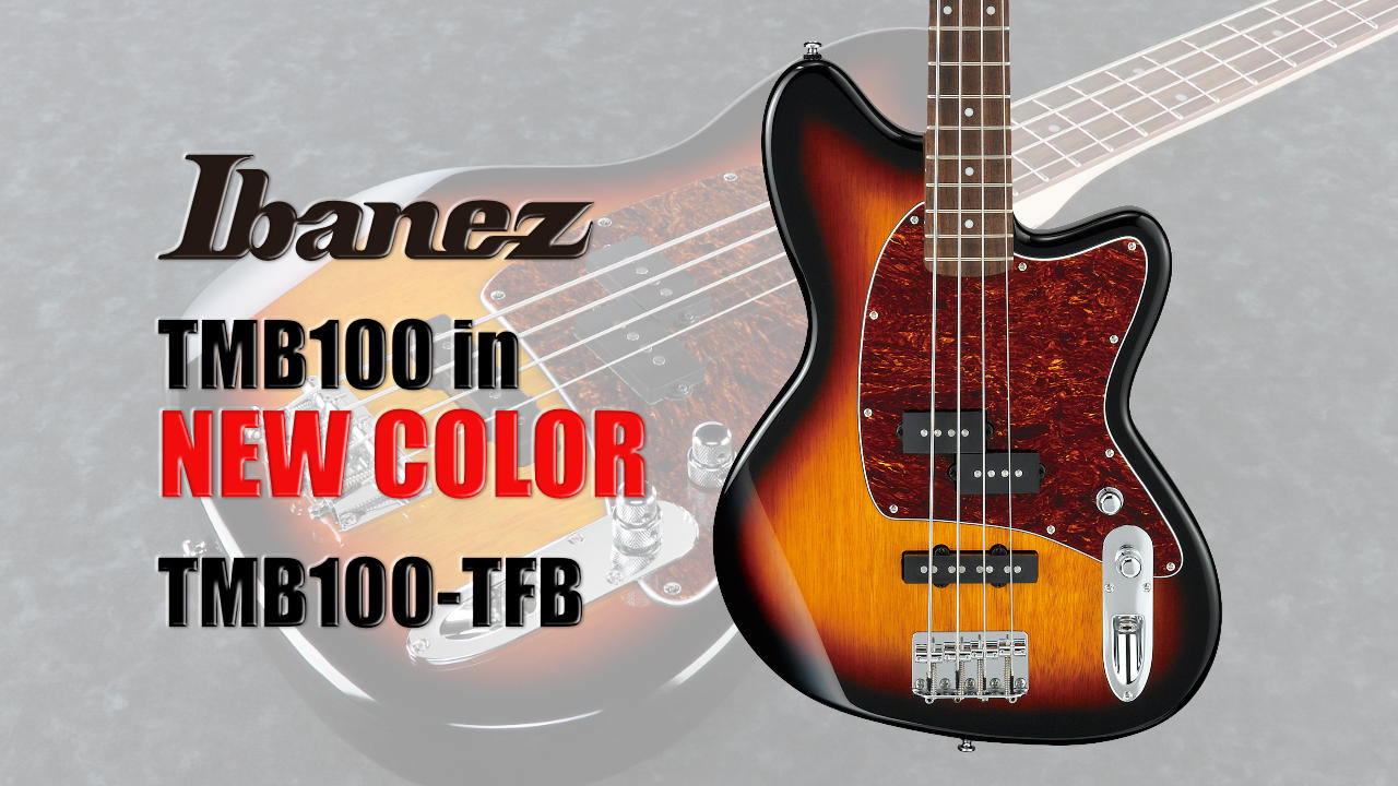 Ibanez 好コスパエントリーモデルに定番カラーが登場！