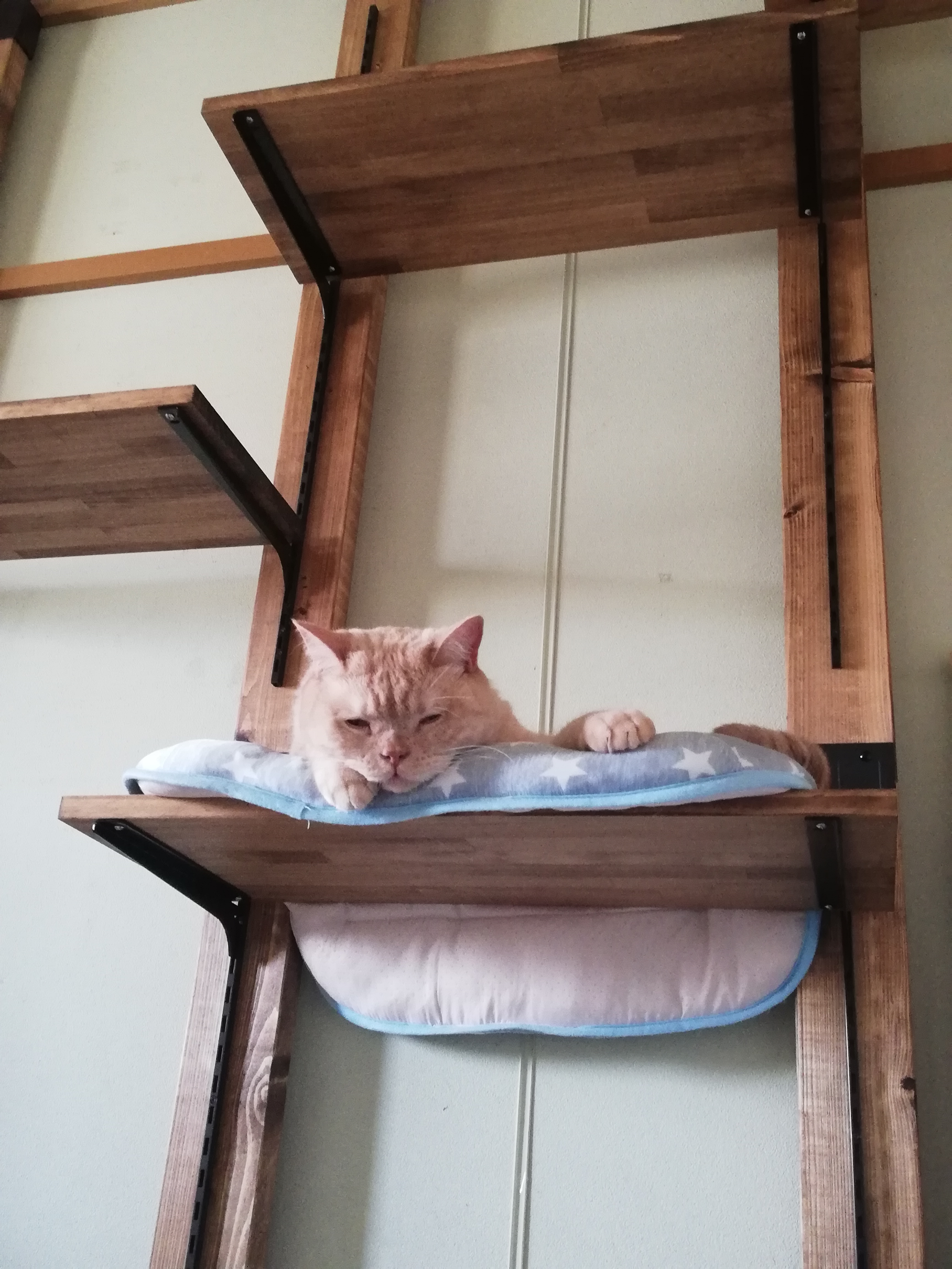 特注】ホワイト塗装済ツーバイ材 【長さ260センチ】※3本以上は割引が