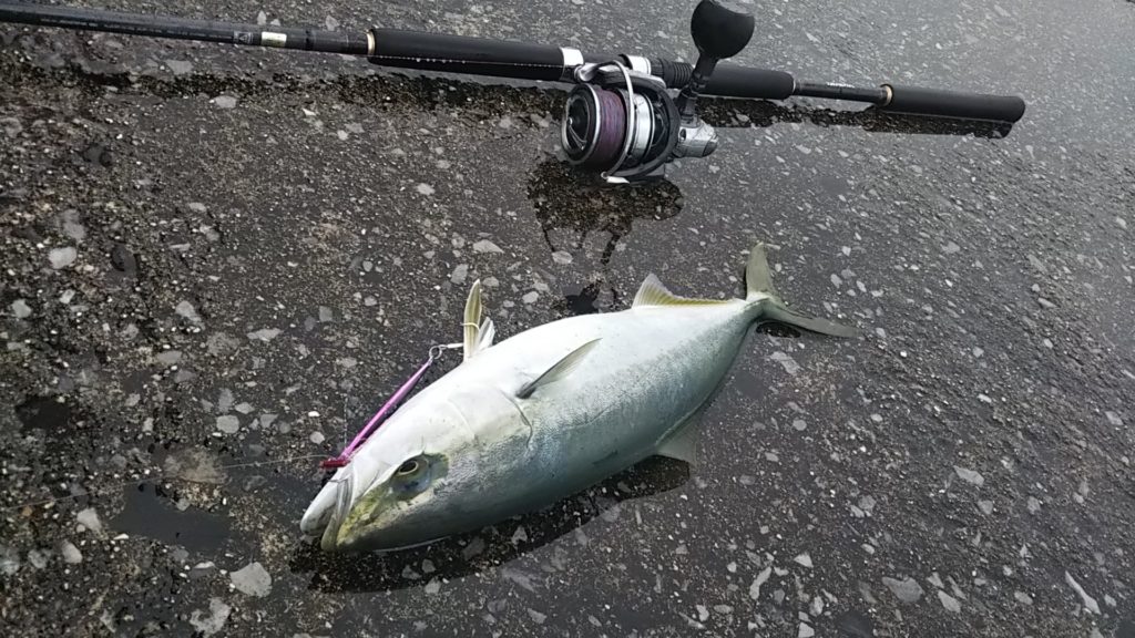 ダイワ ジグキャスター96M DAIWA JIG CASTER JC96M Daiwa JIGCASTER