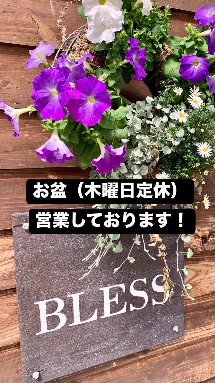 お盆は〜 | Dog Run ＆ Cafe BLESS