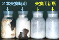 初心者飼育方法｜G-pot菌糸瓶をご利用の前に