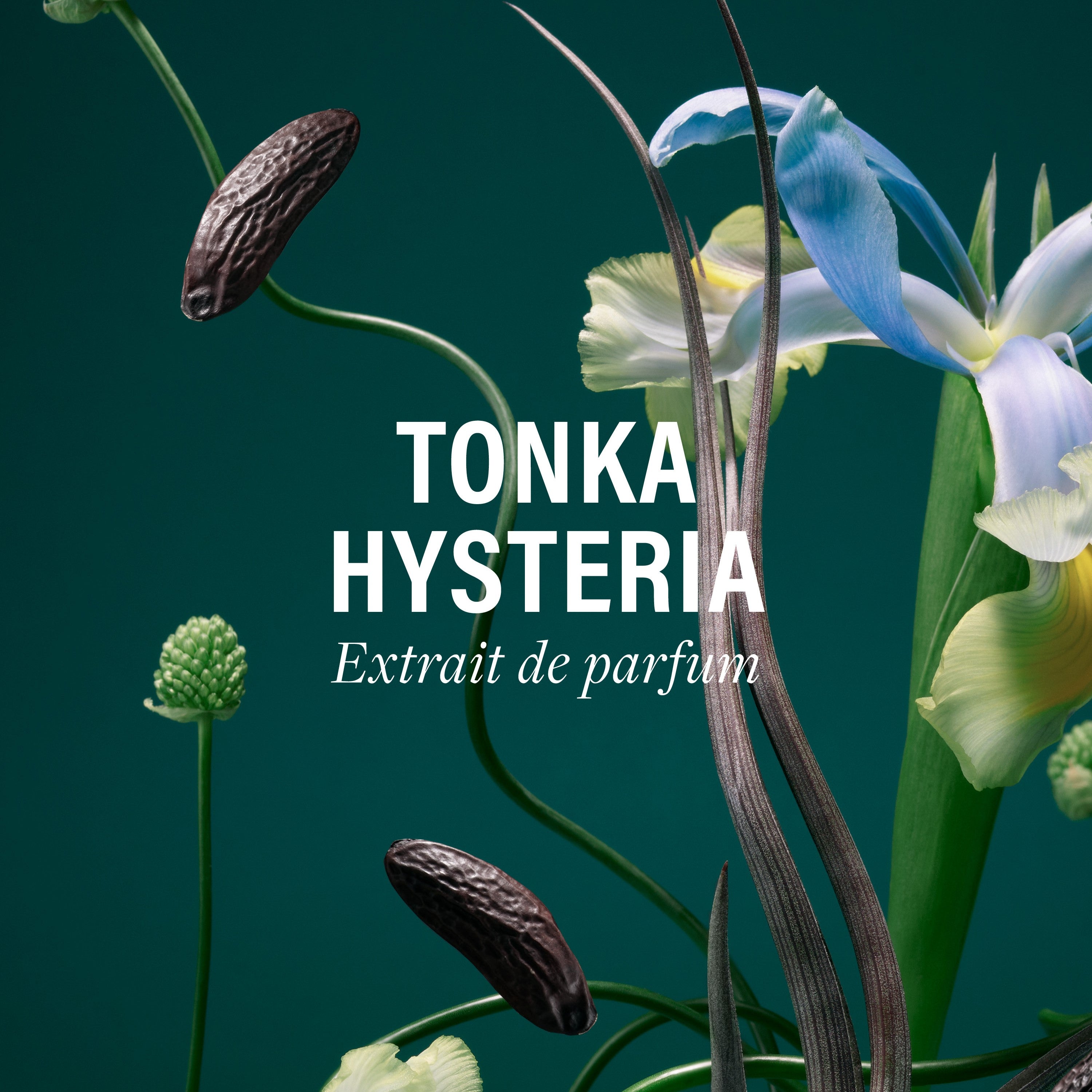 Tonka Hysteria ボディフレグランス - ドルセー ジャパン (d'Orsay