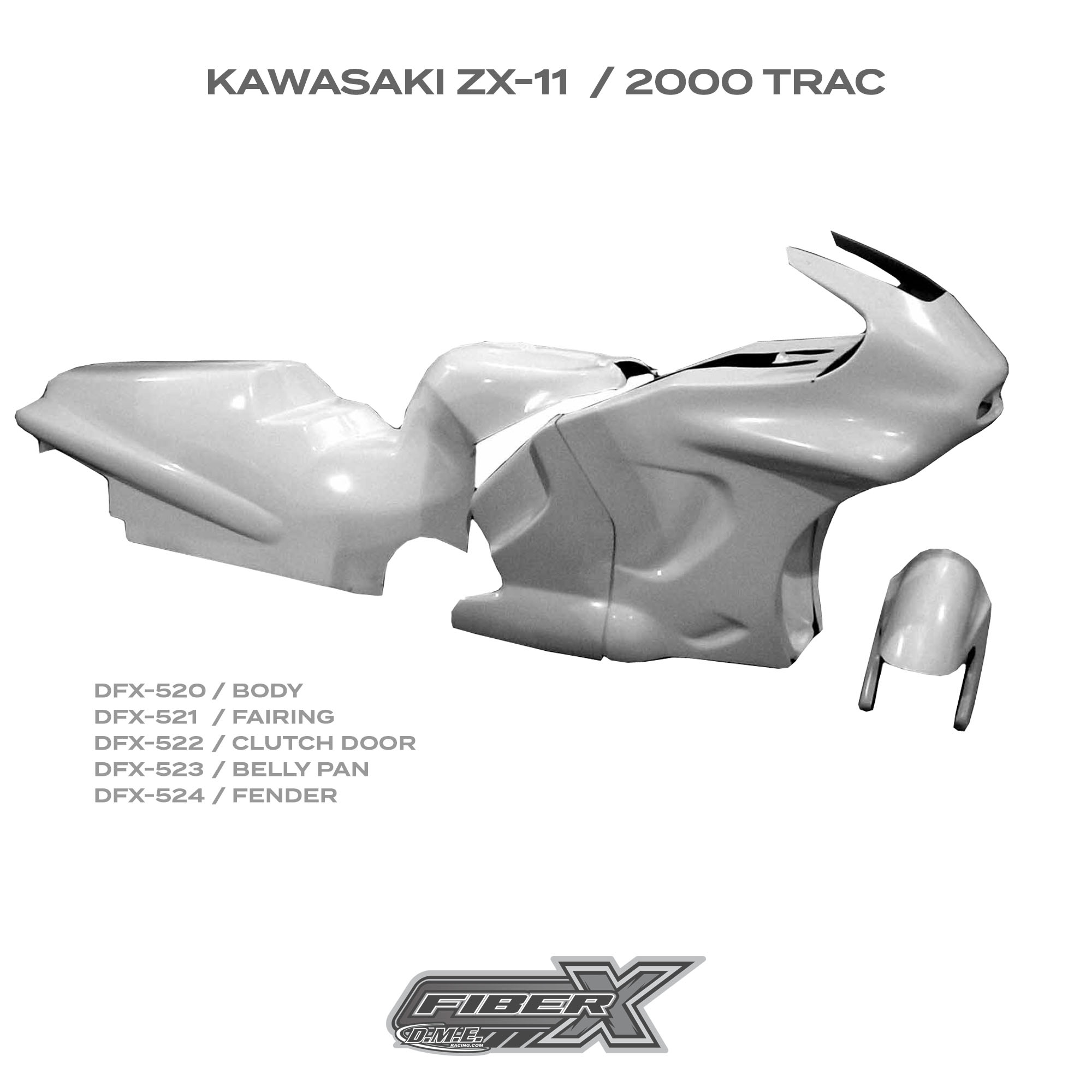 Kawasaki ZX-11 | 2000 Trac Pro Stock - DME Racing