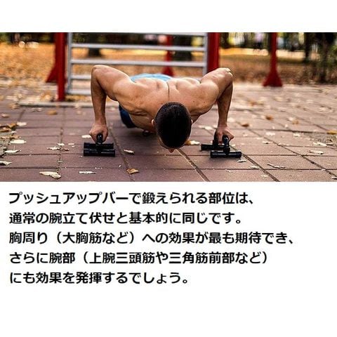 dショッピング |【家トレ お得な5点セット】腹筋ローラー 腹筋 筋トレ