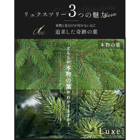 dショッピング |【新発売記念・全力価格】 Luxe(TM)正規品 ハーフ