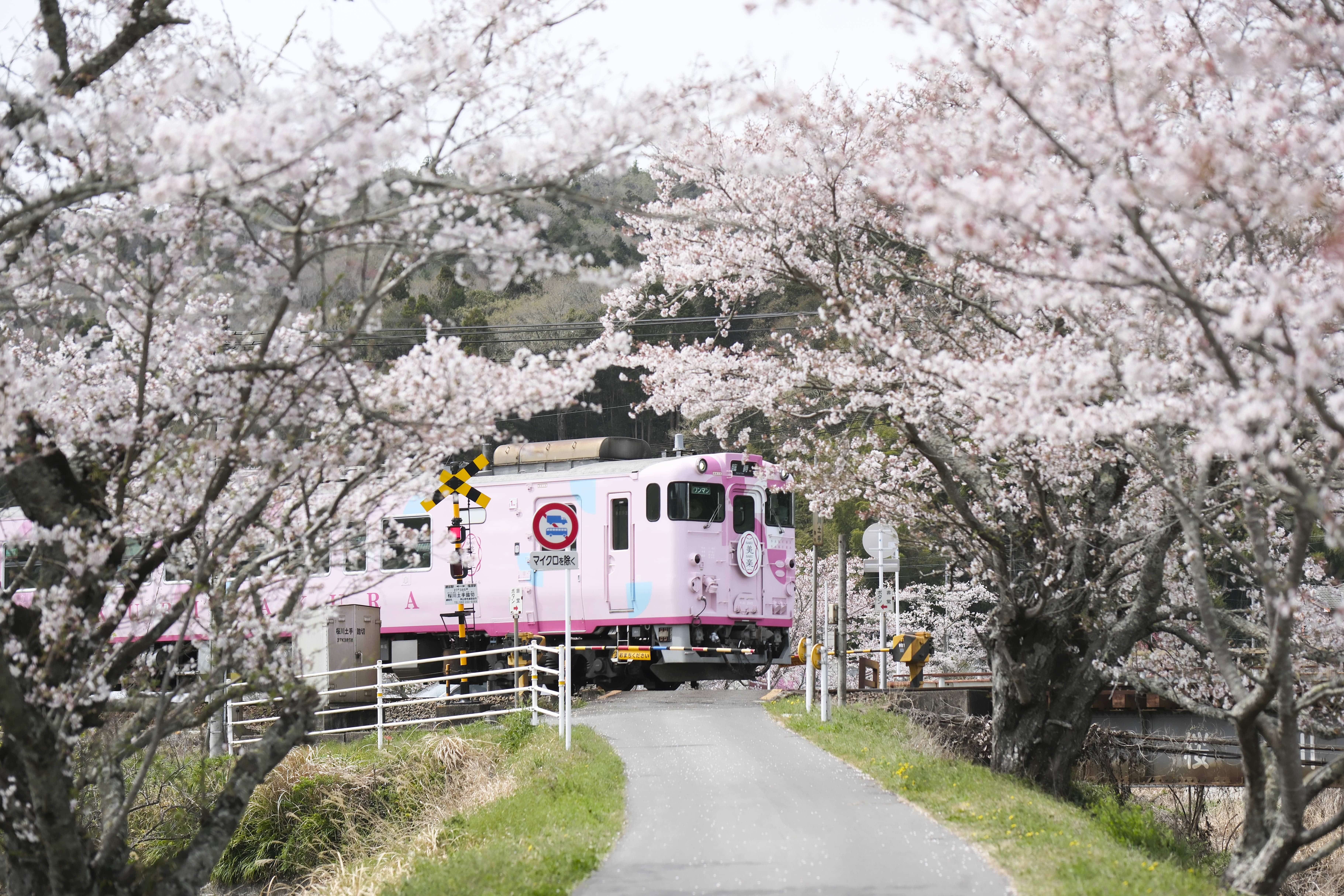 コーヒー さくら旅ブレンド 200g: せとうちエリア│DISCOVER WEST mall