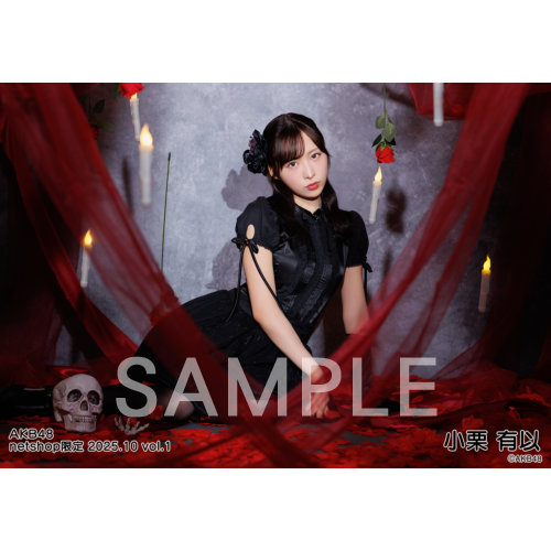 予約商品】AKB48 2025年10月度 net shop限定個別生写真5枚セットvol.1