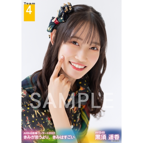 予約商品】AKB48新春コンサート2022 きみが思うより、きみはすごい