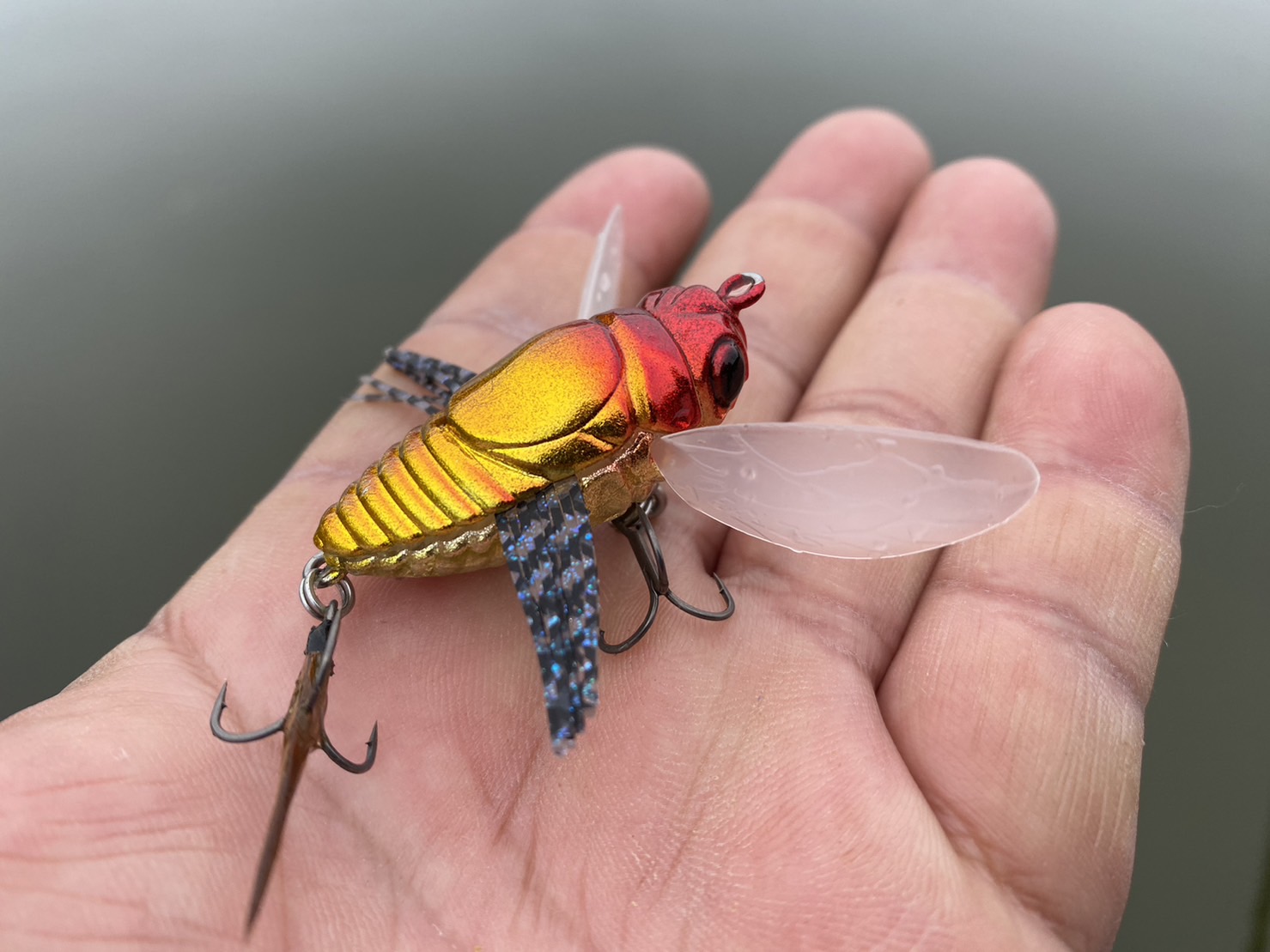 石黒 拓磨｜虫飛びまくりの季節に入りました♪ - スタッフレポート